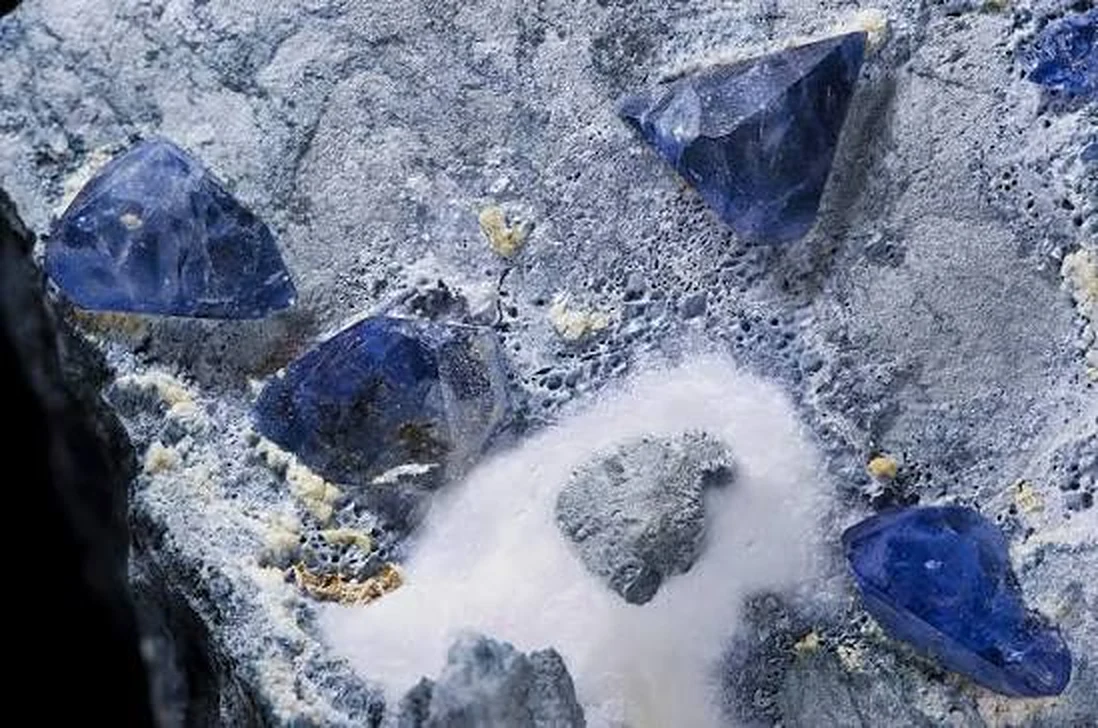 Three deep blue benitoite crystals sitting in pale grey and white host rock