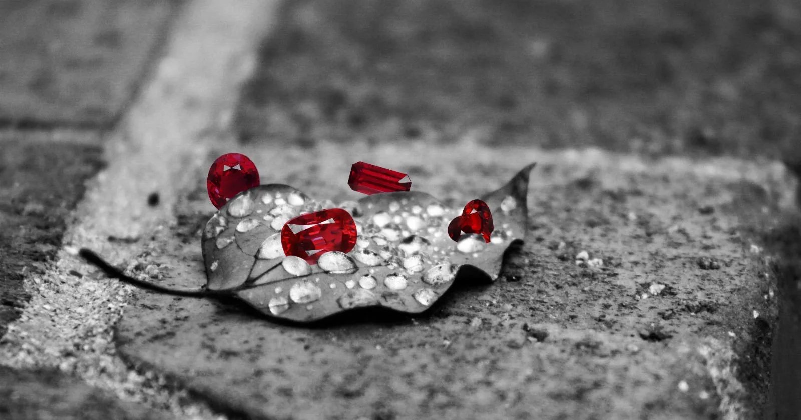 Four faceted rubies resting on a rain-covered leaf, photographed against desaturated stone